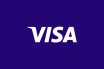 Visa Commercial Pay-2