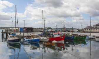 Ireland’s economy may slow as a result of new US policies Ireland's economy