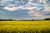 price of agricultural land in Estonia
