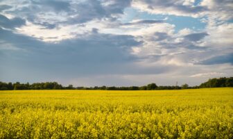 price of agricultural land in Estonia