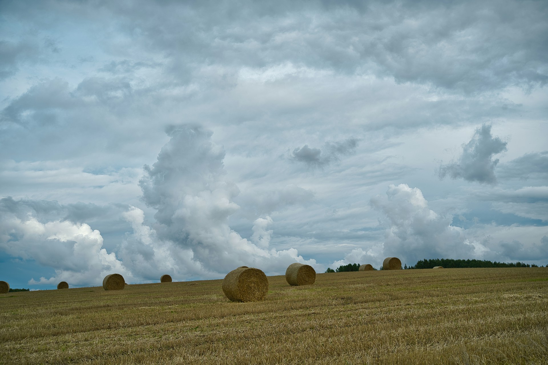 price of agricultural land in Estonia has increased
